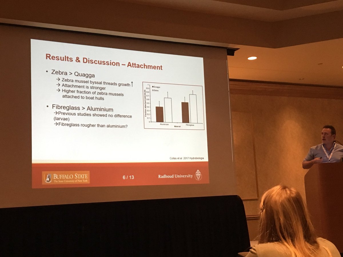 MerkesChris's tweet photo. Frank Collas: zebra mussels attach to boat hulls better than quaggas and 14.7% detach alive after 24-48 hrs overland transport. #ICAIS2017 https://t.co/9CRheQLOJK