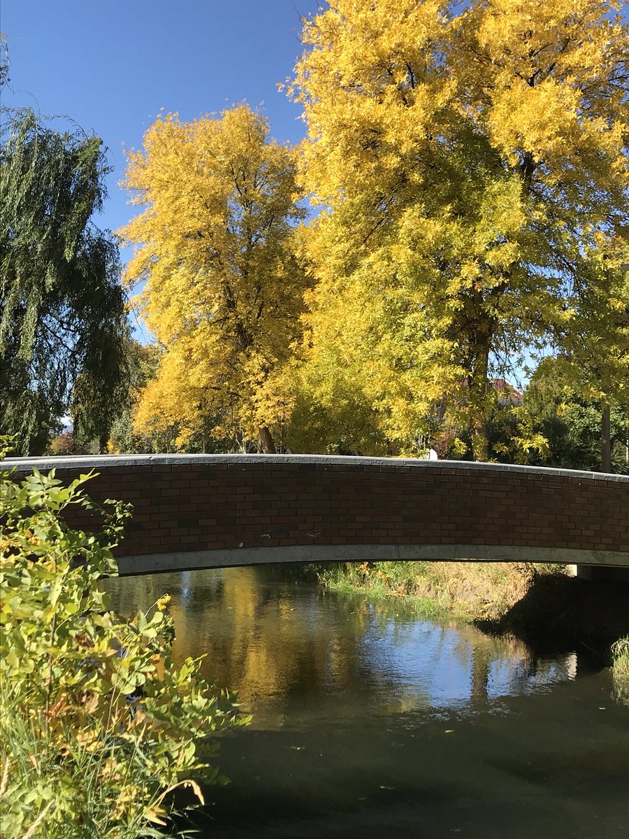 CWUPulse's tweet photo. Fall is here! Good luck to everyone who has midterms this week! #cwu #cwupulse #fall #YouGotThis https://t.co/yOSXaVEcQj