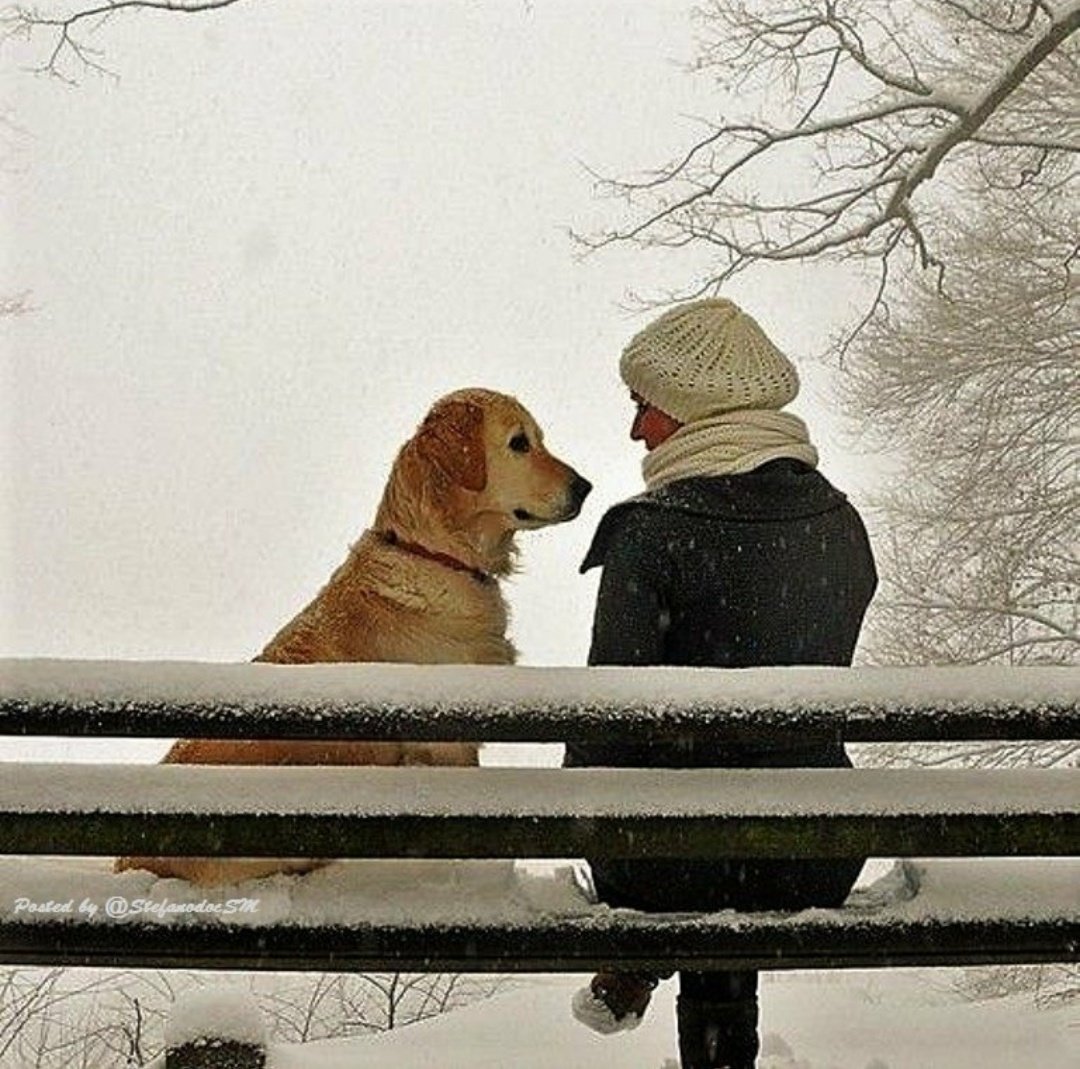 pamelu253's tweet photo. ❤️Sé suave, no dejes que el mundo te endurezca, que el dolor te haga odiar. No dejes que la amargura le gane a tu ternura❤️ https://t.co/9ql8tJXOMY