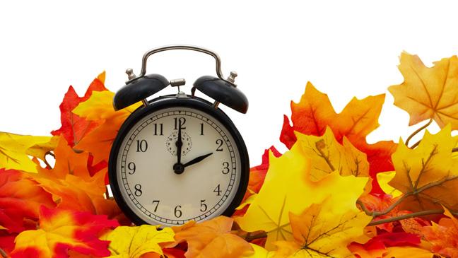 wheelsforwomen's tweet image. With the clocks going back this weekend, we've some advice for driving in the dark #clocksgoback  #DrivingIntheDark
wheelsforwomen.ie/index.php/tick…