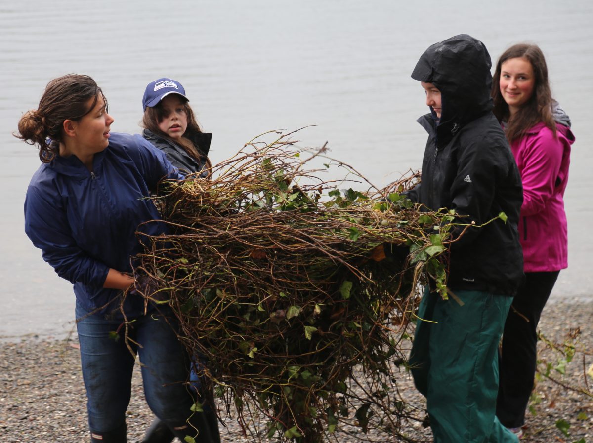 BainbridgeRows's tweet photo. Bainbridge Island Rowers help clean up Waterfront Park. https://t.co/RIqIUsMzGx