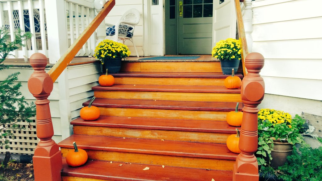 CIYachtClub's tweet photo. Sweet days of autumn. #nycsailing #nycyachtclubs #nycwaterfront #nyckids #Sailnyc #sailboatracing #YRA #nycsocial https://t.co/ul9T14PPEQ https://t.co/sVE5ZGqMN8