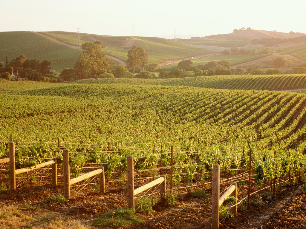 CNTraveler tweet picture