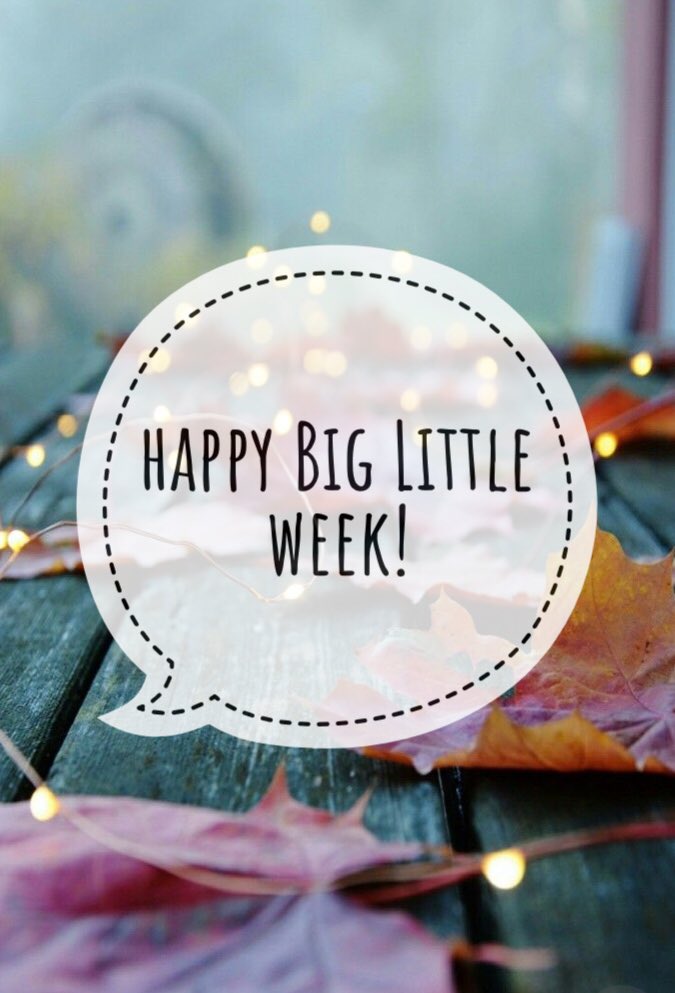 UWOtrisigma's tweet photo. First day of Big Little Week was a success! Can’t wait for round two tonight😊 https://t.co/35nYbSl6OA