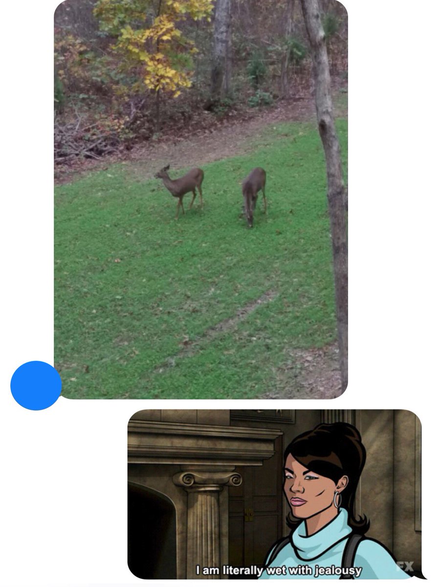 QDMA_STL's tweet photo. Friends texting pictures of deer while they’re hunting and you’re at work #treestandorbust #noworkdeerseasonshouldbeathing #weekendwarrior https://t.co/46LA8s6C8w