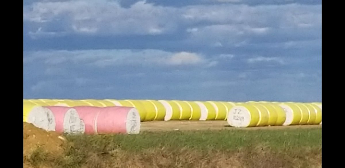 I could use some gin...I mean a gin.  Cotton harvest in Macon, MS.