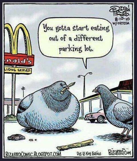 FructoseNo's tweet photo. Portion size or processed sugar, carbs and vegetable oils? #wecandobettter #lchf now https://t.co/qLveQaA9wP