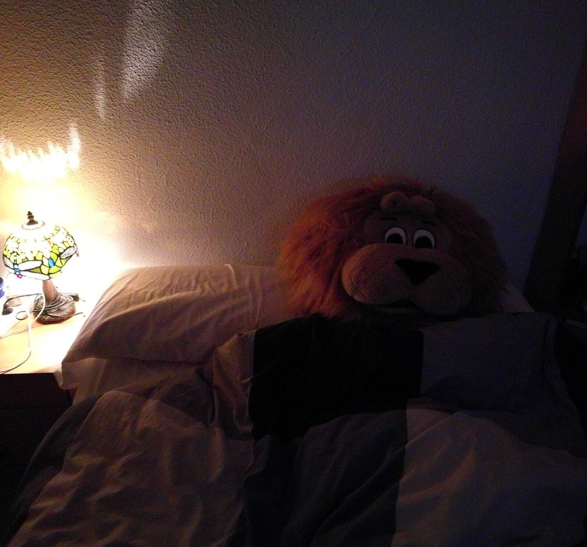 ¡Buenas noches! 🌙

¿Sabéis quién se está preparando para este finde...? Una pista… 😏🦁