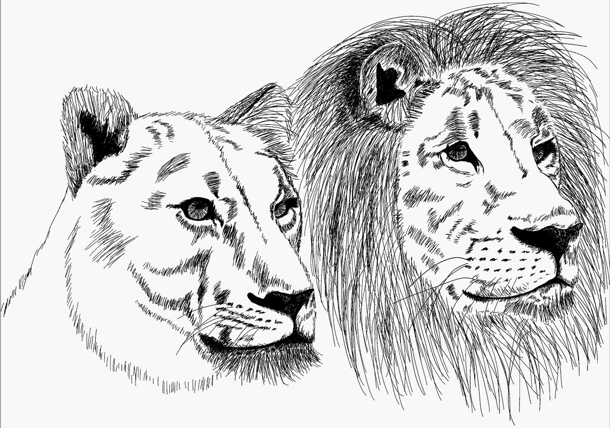 grzelska's tweet photo. #inktober #inktober2017 Day 23 &amp; 24 https://t.co/x4JWp46pFO