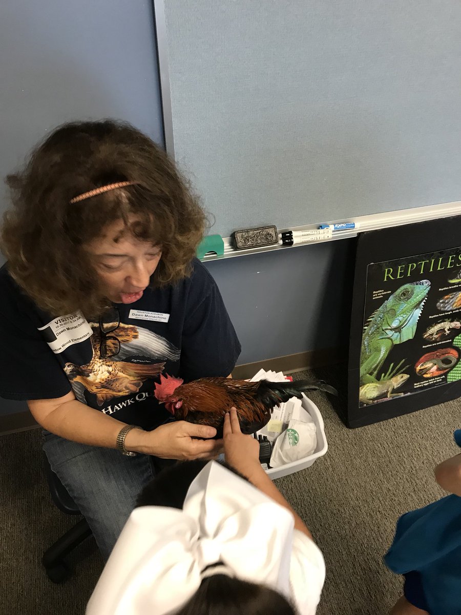 Last week we enjoyed learning all about animals that hatch from eggs! <a href="/MeadowWoodSBISD/">Meadow Wood Elem.</a>