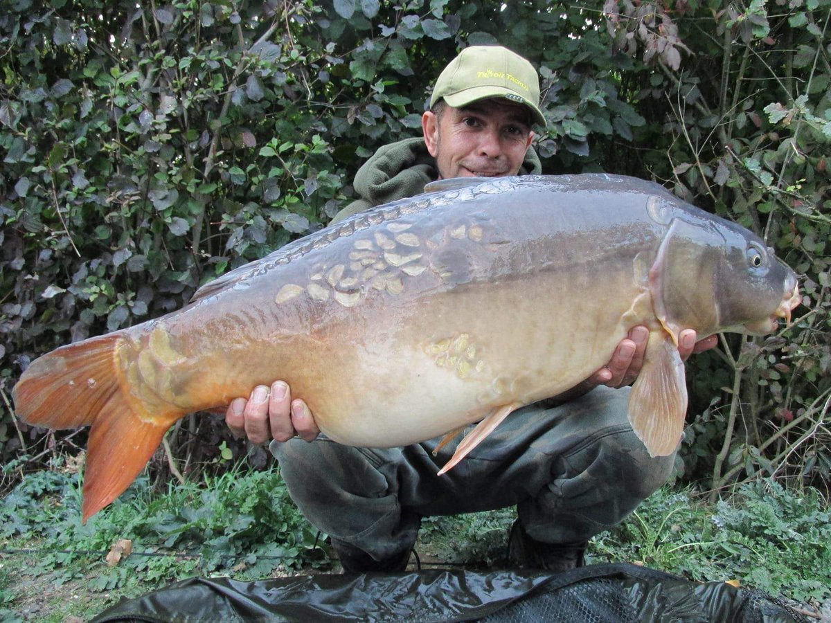 LeeThom79608424's tweet photo. 23.12lb CHUNKY muncher 
#baitmonkeybaits #teamsharptackle #teamhardcore #mattpukkaparticles #teamtritontackle https://t.co/EVffmpU9Te