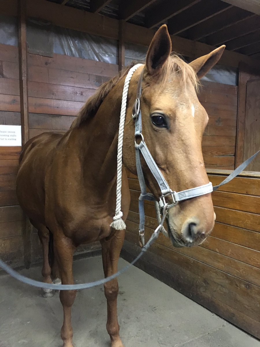 ottbnugget's tweet photo. Officially coming off anon right NOW! https://t.co/z8elbCGAYm