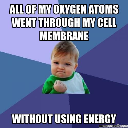 CellMembrane018's tweet photo. @Mitochondria018 brags about making energy for every organelle, but guess who doesn't need it? #lmhsorganelle2017 https://t.co/10366wiWKI