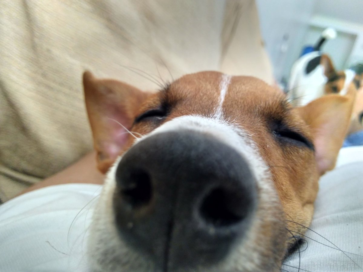 Vini Personal #Beta (@vinepersonal1) on Twitter photo 