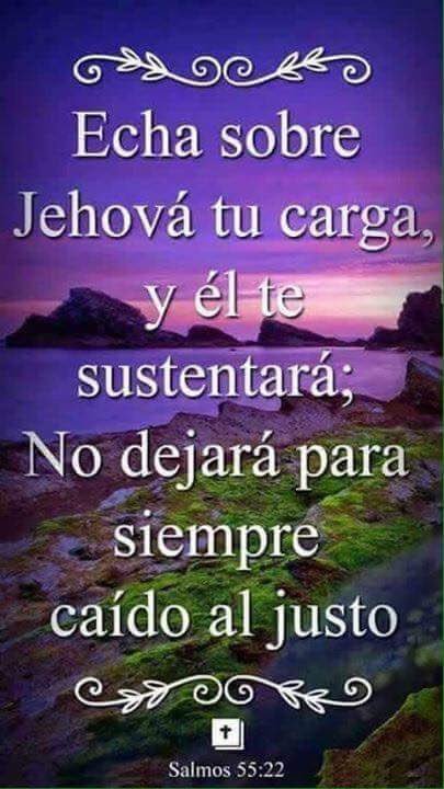 n_veras's tweet photo. https://t.co/k3vx93ICa4