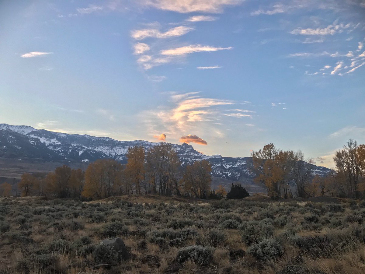 JordanABudd's tweet photo. Elk country 🙌🙌 https://t.co/86UsQxgEQX
