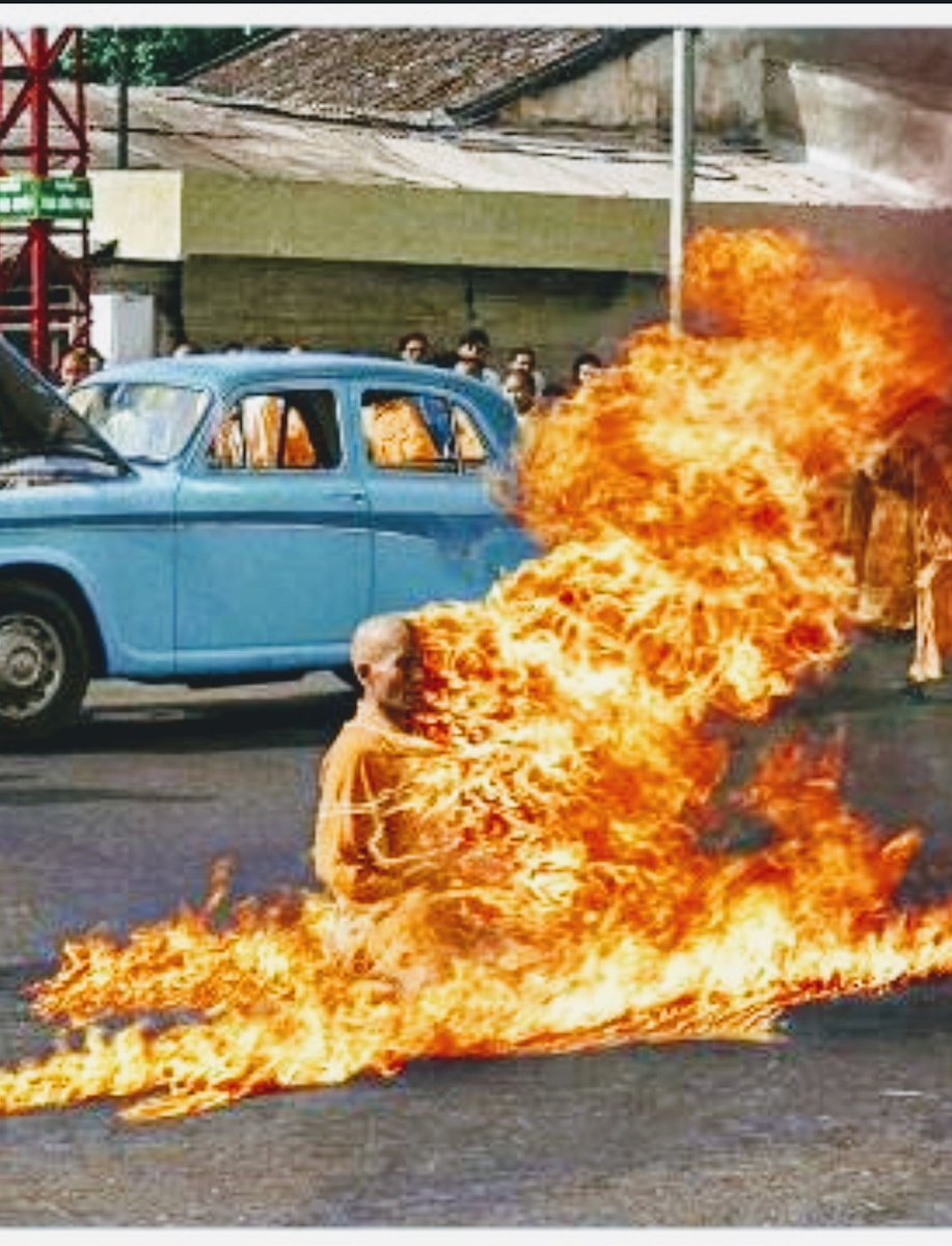 GIZMOE ROPER Ⓥ tweet media