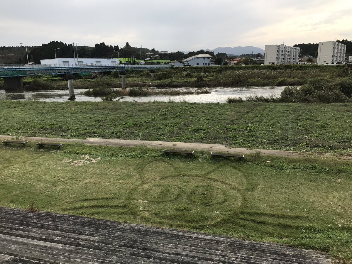 EvrardOlivier's tweet photo. In #Fukushima floodplains, after #TyphoonLan we found lags and even a cat! #amorad https://t.co/HVgcMf79sr