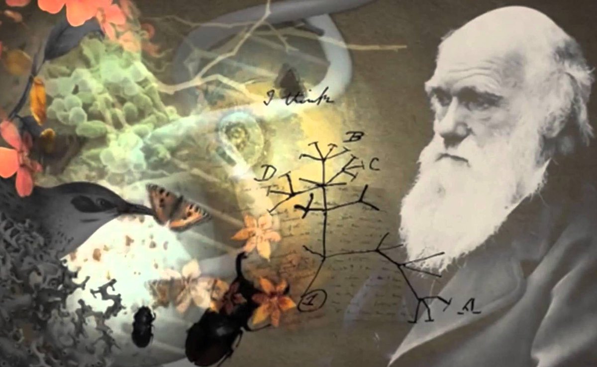 core_spirit's tweet photo. #Science ... https://t.co/KE263dB251 #AlternativeAndNaturalMedicine #EsotericQuantumPhysics #MentalWellness #Mind #Neuroscience https://t.co/E5PwEB2kNA