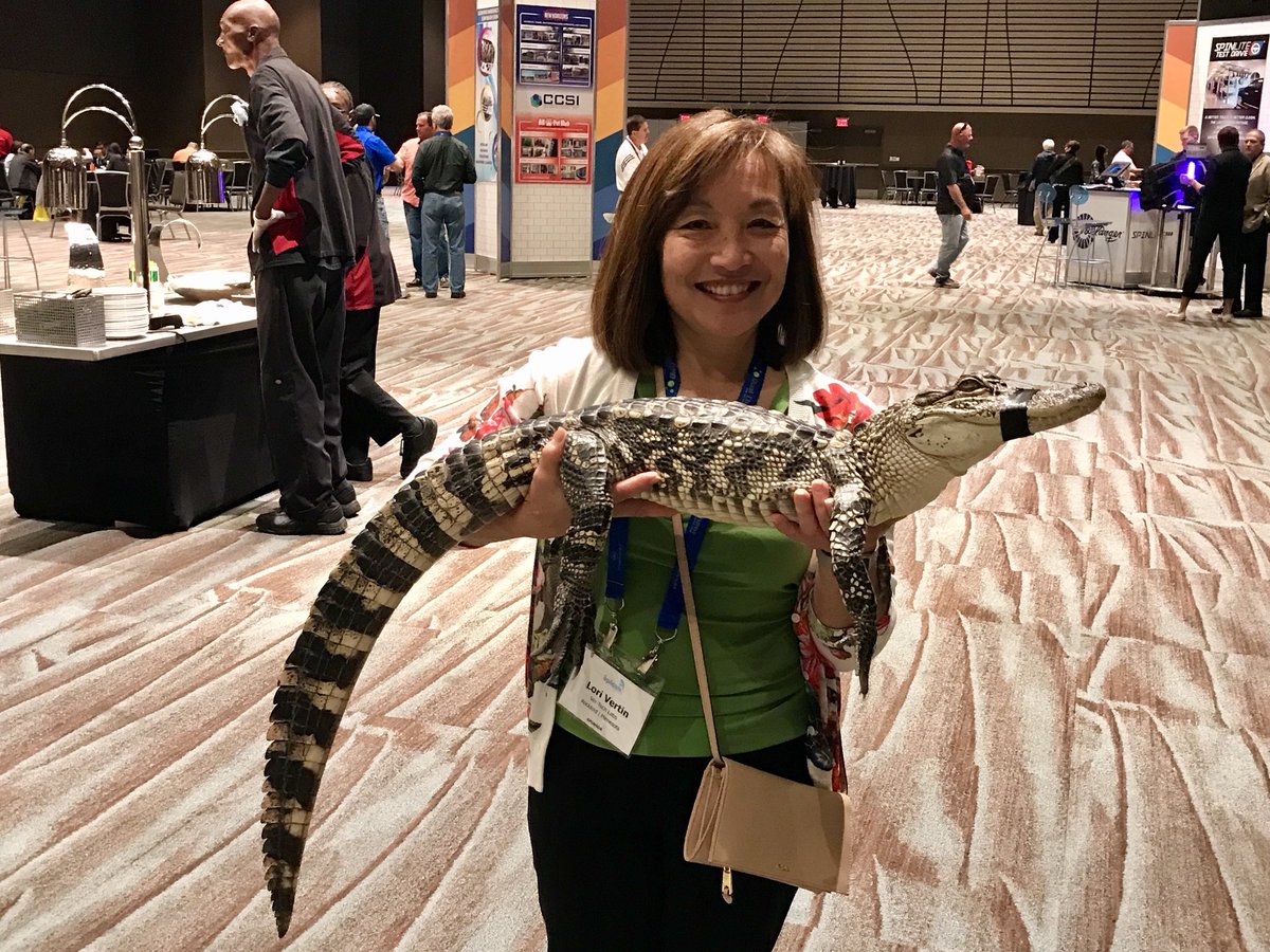 VTL_MN's tweet photo. #splash2017 in NOLA - alligators (and they were serving gator sausages) 🤣 https://t.co/lTV4ZVY1ag