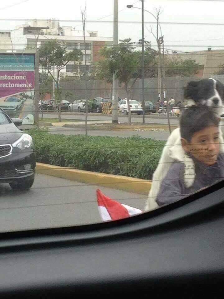 HechosEnElMundo's tweet photo. Hermosas fotografías desde Perú: un niño fue captado paseando alegramente a su perrito. https://t.co/wB3sqzUa98