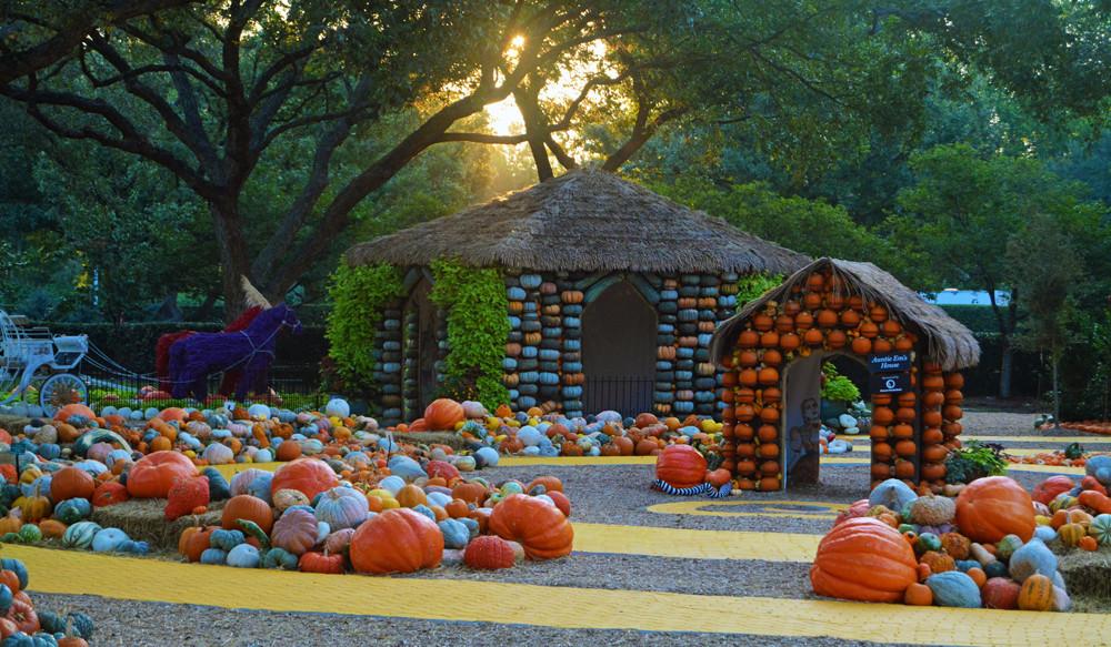 visit_dallas's tweet photo. Don't throw out your @StateFairOfTX ticket stub just yet. Use it to get a discount for admission to the @dallasarboretum! https://t.co/Tto4eu2zRC
