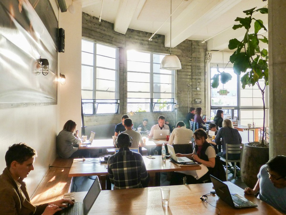 sprudge's tweet photo. Coffee shops are better places to work than offices because they have "the right sort of noise." https://t.co/EDu0Cpsqv0 https://t.co/DKCIZljFrZ