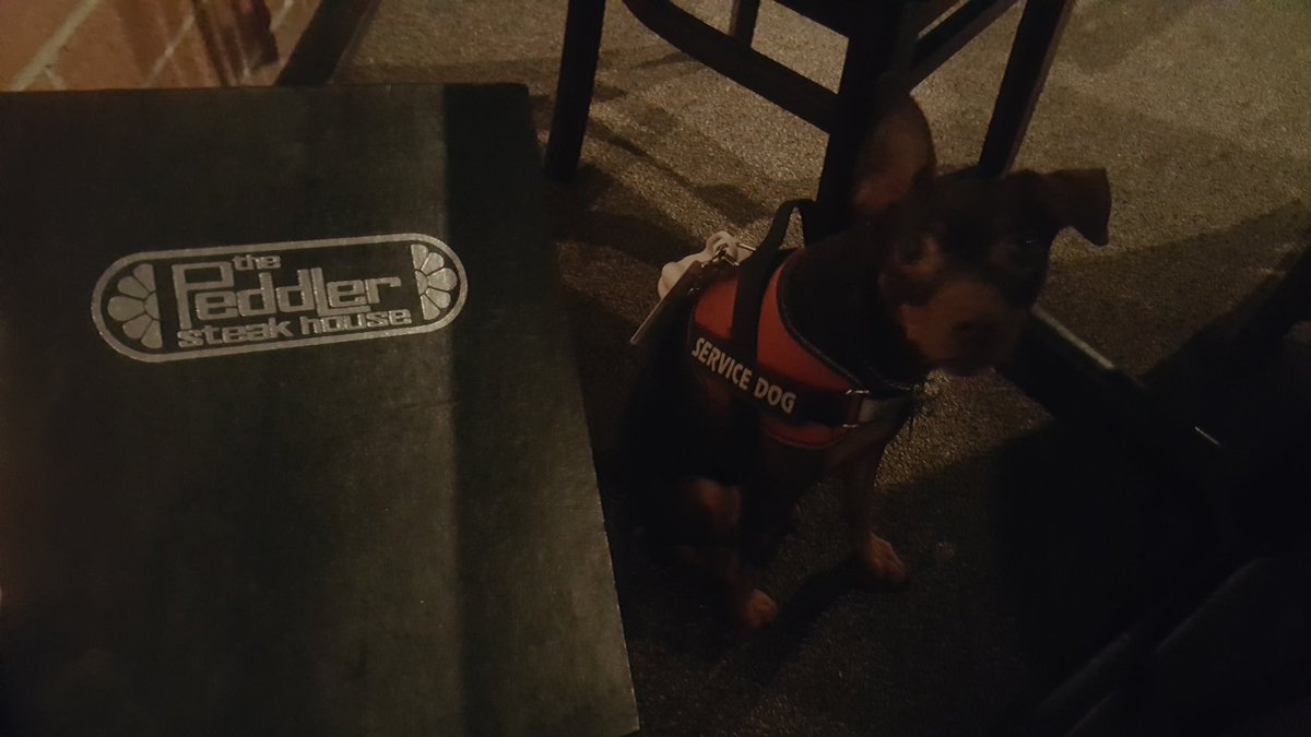 WithoutATraceFL's tweet photo. Finding bio hazards is what @StrykerLucas trains for so the https://t.co/2dV2CagEsR Team finds him great steakhouses. @SouthOfTheBoarder https://t.co/ADZ4wkIWlP