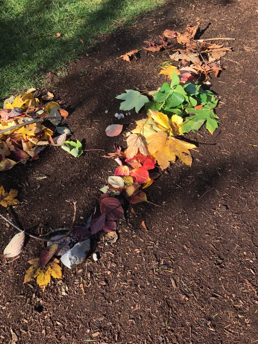 jasminehare's tweet photo. The weather is really cooperating for @takemeoutside week here in Vancouver! The JKs made this beautiful nature rainbow today https://t.co/rbHuSWEhXB