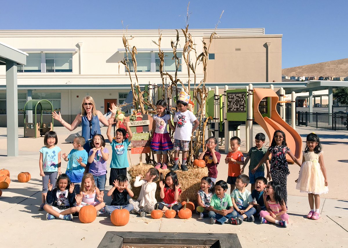 msmccrorylovesk's tweet photo. AES Kinder Pumpkin Patch 2017! #d102family #msmccrorysclassrocks #theyreADORABLE https://t.co/sBOEiVLDTX