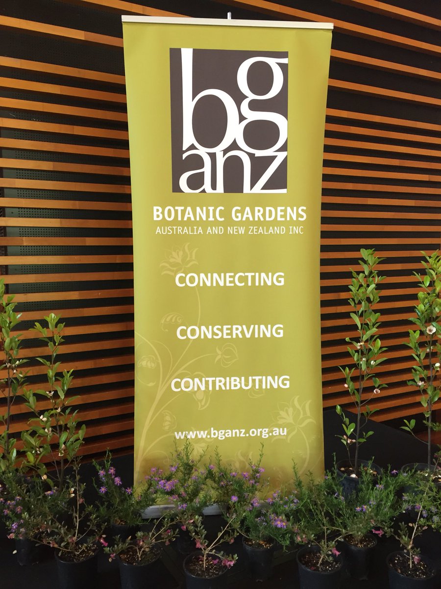 MHMinsight's tweet photo. Ready to talk all things gardens at the greenest conference we’ve been to all year! 🌿🍃🌱🌵 #BGANZCongress #MHMAus https://t.co/lOSQG5Ietn