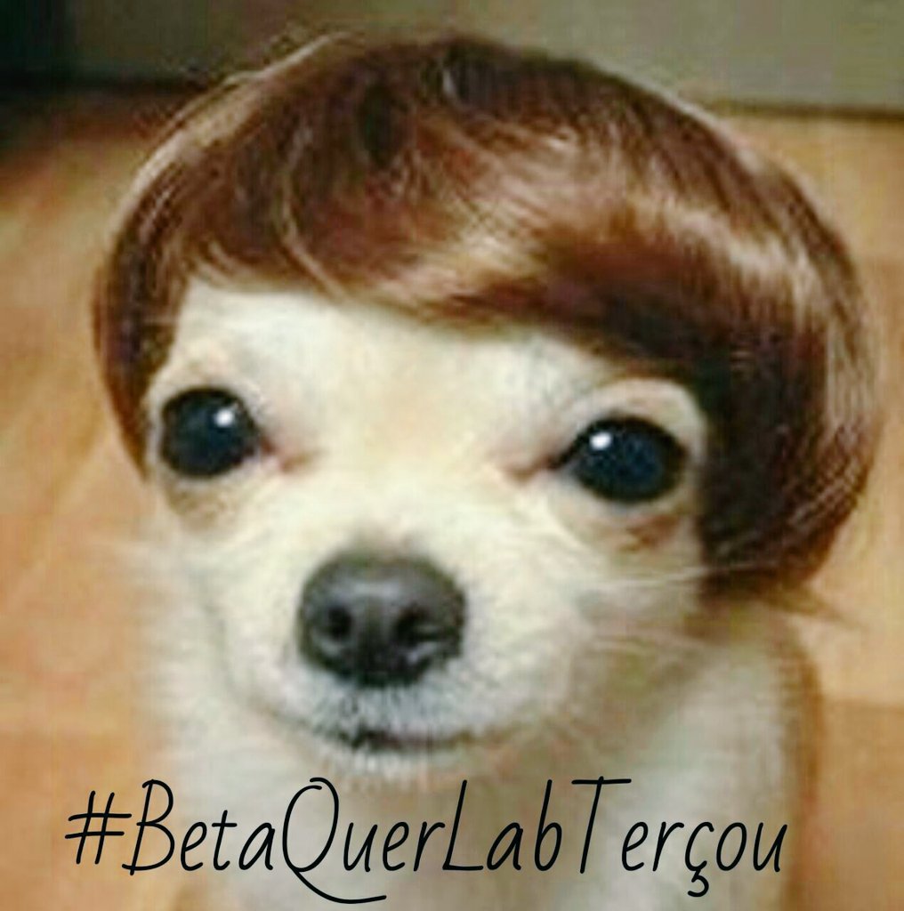 Boa noite meus amigos Betas! #BetaQuerLab #BetaQuerLabTerçou