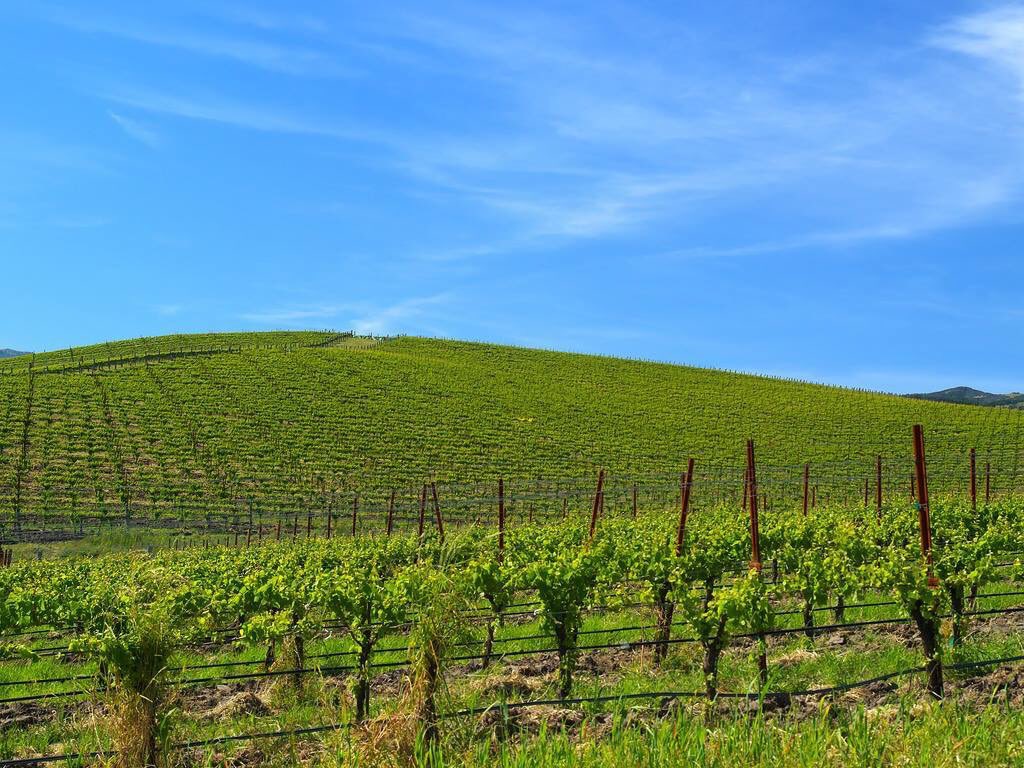 non aesthetic things tweet media