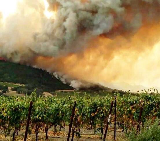 non aesthetic things tweet media