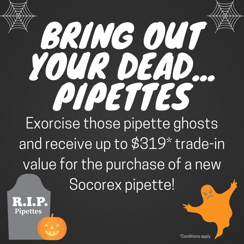 Interpath Services tweet media