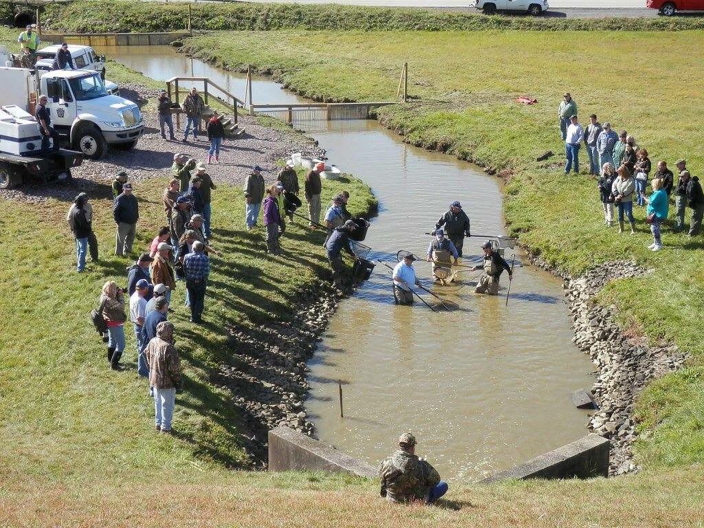michele_pfbc's tweet photo. @fishandboat complete day 1 of #fish salvage @ #lakesomerset moving fish to other PA lakes for anglers to enjoy! 📸Cred: J Burkardt #fishpa https://t.co/6JTCPmwkkq