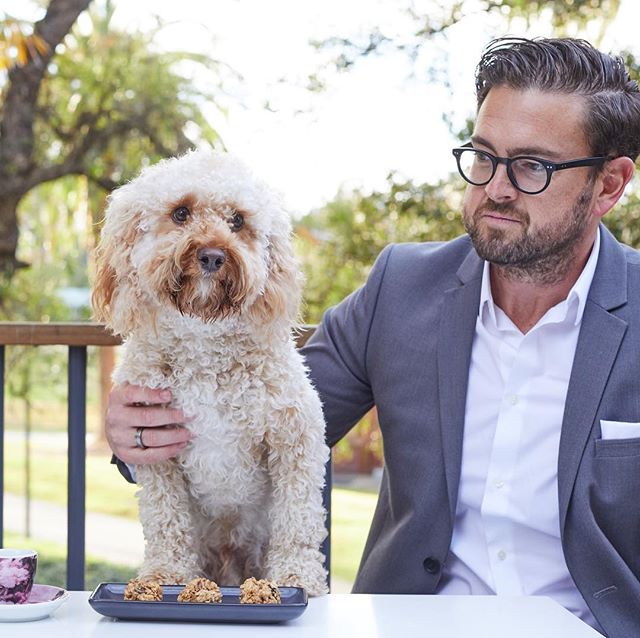 Meet pups who need a forever home. RSPCA's Adoption Day at Storehouse on the Park, Vibe Hotel Rushcutters Bay 10am to 2pm, Sun 29 October