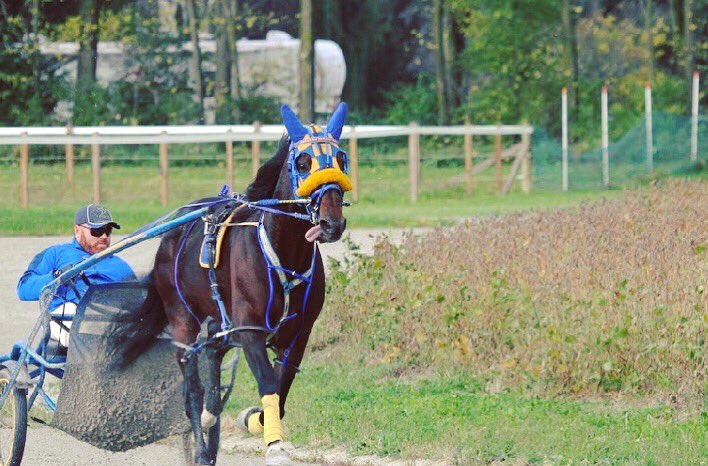 JessicaOtten1's tweet photo. 💙McWicked 💨💛

#Crown17 #PlayHP #CrownPrep 
@fastlane111 https://t.co/xwJW2aoowC