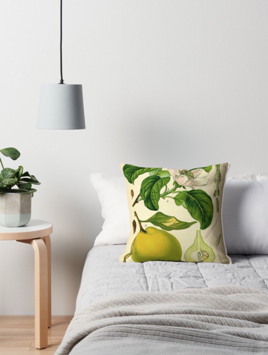 Mandy__Bryant's tweet photo. Vintage botanicals are my favorite 🌿 @Etsy https://t.co/ogHoAEFVNt #interiordesign #botanical #green #vintage #bloggerstyle #fallfeels https://t.co/VGz2I4ZekP