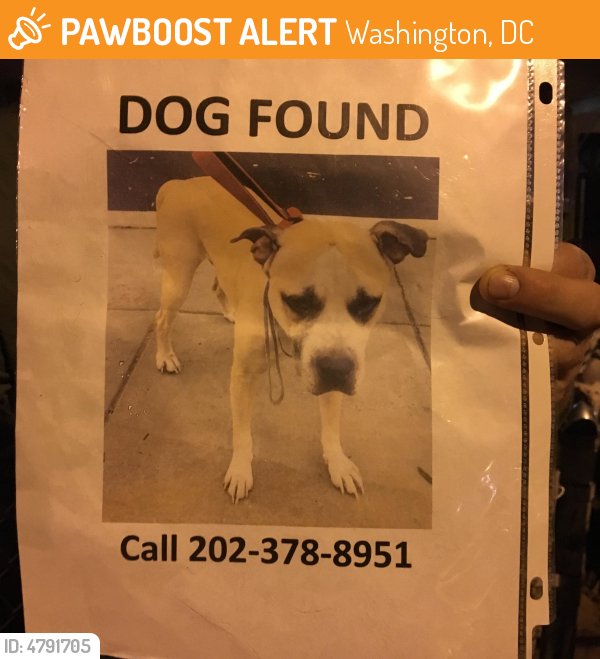LostPetsDC tweet picture