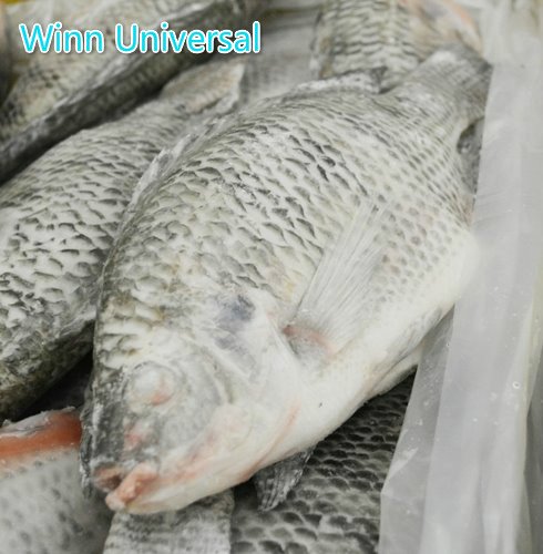 Winn Universal Inc. tweet media
