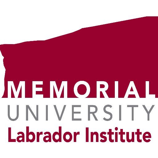 KellyAnneButler's tweet photo. Thx @LabInstitute! Taught HUMN 3100 2nite from HV-GB. One course, many locations. Uni education in your own community. #IndigenousHumanities https://t.co/2KDfl1xN4h