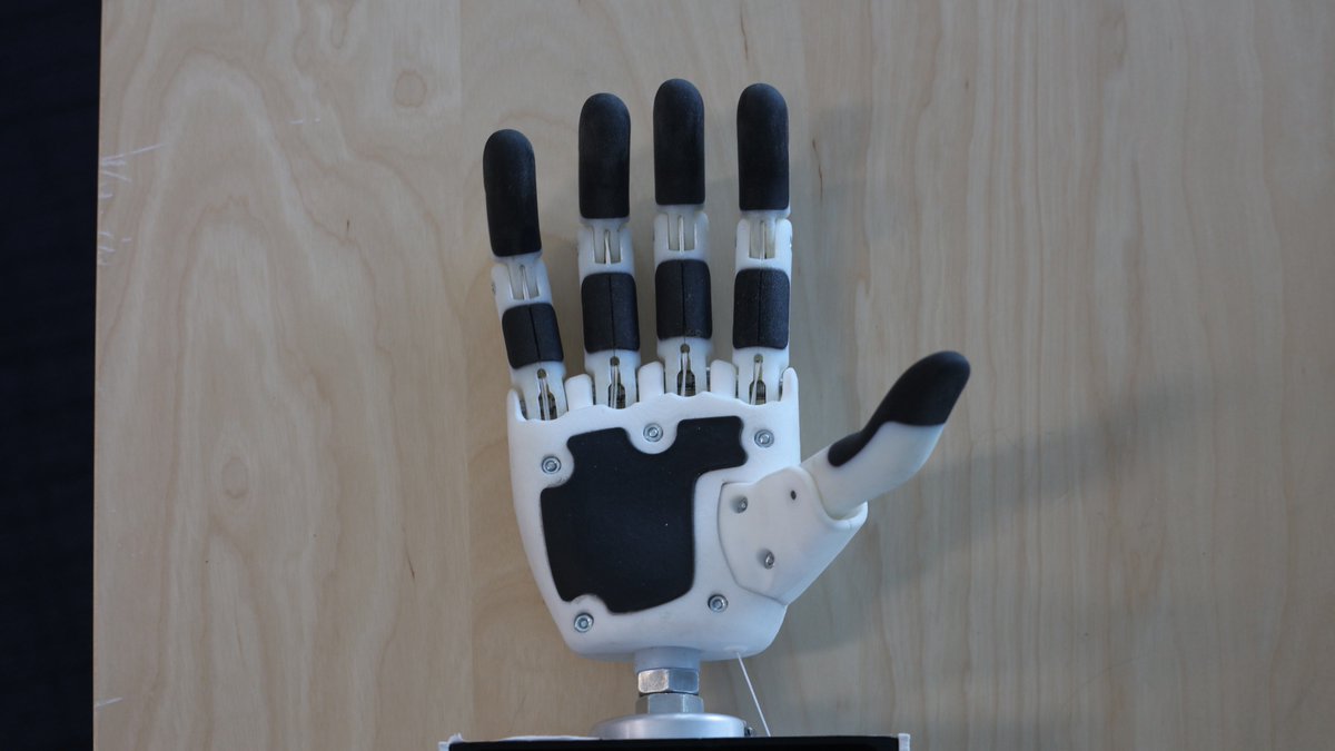 Sentient Instrument Sentient Bionics (@SentientBionics) / Posts / X