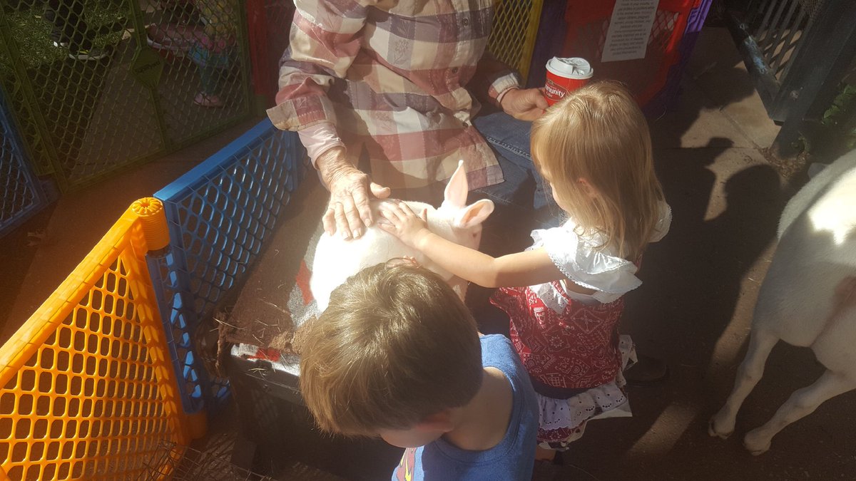 hgbcclc's tweet photo. Petting Zoo @hgbcclc #TexasDays #PointingLittlesToJesus https://t.co/CQBqldS3P6