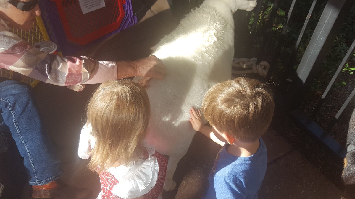 hgbcclc's tweet photo. Petting Zoo @hgbcclc #TexasDays #PointingLittlesToJesus https://t.co/CQBqldS3P6