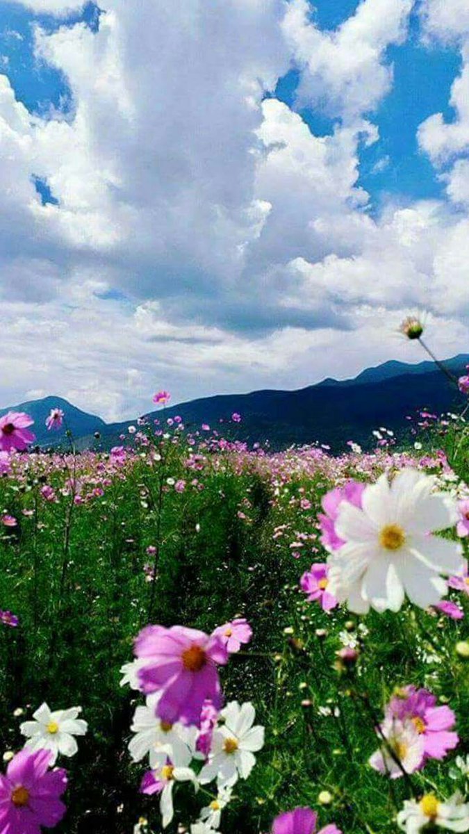 미래의 사회를 °♡♥ 평화롭음을 필요류며 **************************************