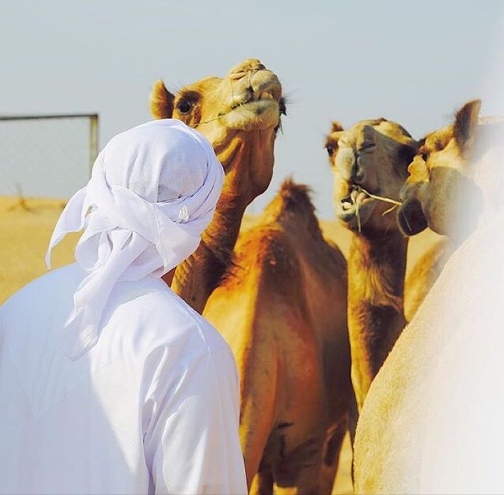 ليت الوفا فالناس مثــل العباده
ليته ركن ثابت من أركان الإيمان

حتــى يثاب المجتهد بإجتهاده
ويعاقب العاصي ع كل عصيان💛