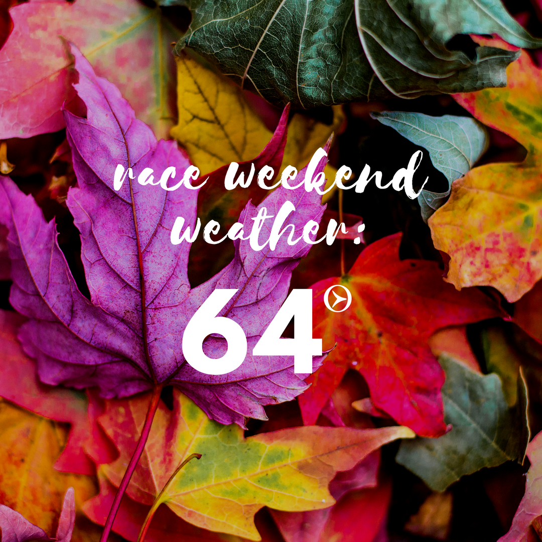 OnwardShay's tweet photo. #raceweekend coming up! #perfectweather projected! #onwardshay #boisemarathon #5K #10K #halfmarathon #marathon #thisisboise #itsaboisething https://t.co/CqdomQ8bJs