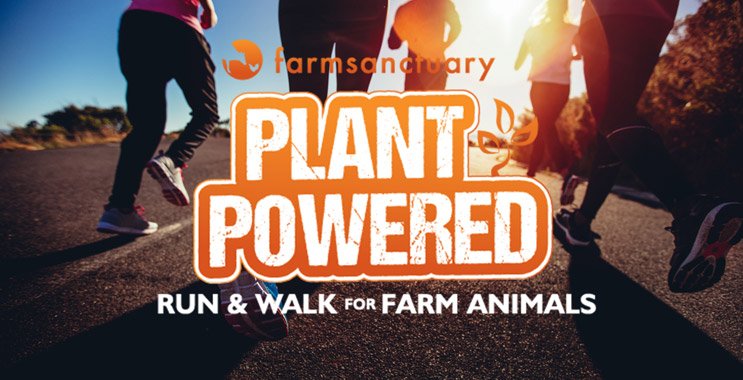 FarmSanctuary's tweet photo. Arizona animal advocates! The #PlantPoweredRun & Walk for Farm Animals is headed to Phoenix on Sunday, November 19! Run, walk, or cheer from the sidelines to support Farm Sanctuary's rescue, education, and advocacy for farm animals!
How to participate: https://t.co/ZV9aeFbJvv https://t.co/w1AD5r0f7f