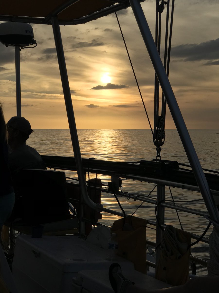 FLfunshine's tweet photo. #OnABoat #FlippyFloppies @01Liles https://t.co/ByyL7oqf0n